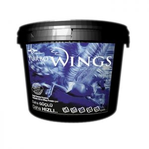 Turbo Wings