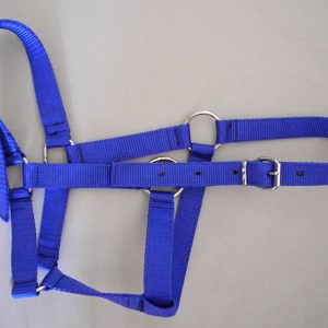 Bir Yaşlı Tay Yuları