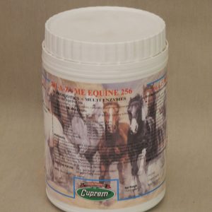 Probiotics multi enzymes