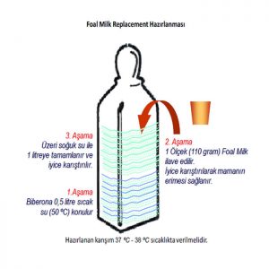 Replacement (Foal Milk)